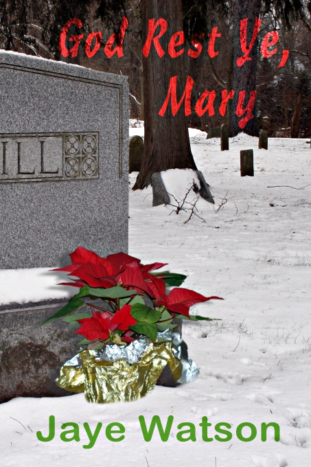 God Rest Ye, Mary by Jaye Watson