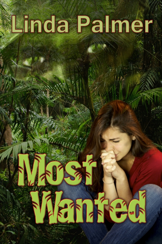 Most Wanted by Linda Palmer