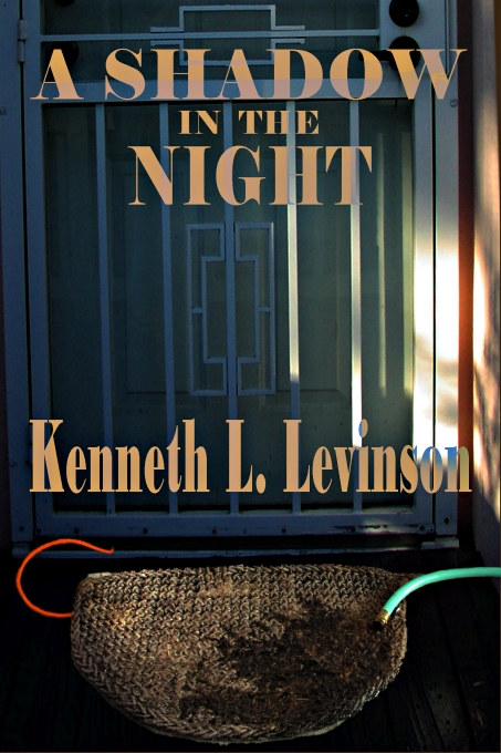 A Shadow in the Night by Kenneth L. Levinson